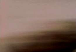 Darlene Grey- Mondo Topless